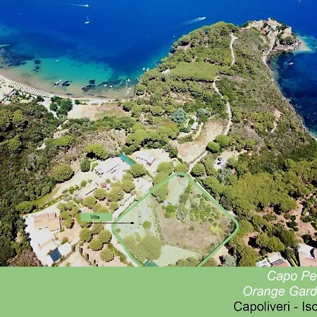 Old * Capoliveri (Isola d'Elba)